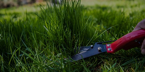 Producent sprężyn dla branży ogrodniczej, rolniczej i sadowniczej