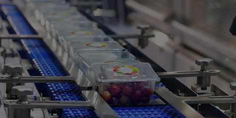 Producent sprężyn dla przemysłu spożywczego